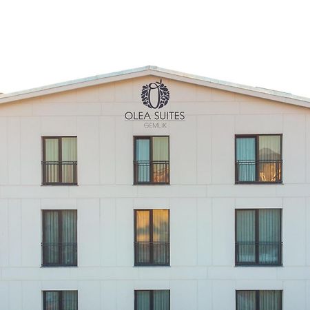 Olea Suites Otel Гемлик Экстерьер фото